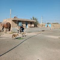 فروش-دامداری-فول-2700-متر-قلعه-خواجه