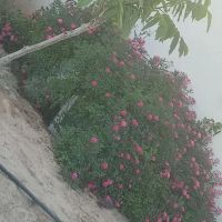 باغ-ویلا550متر-توس-97ابتدای-لقمانی