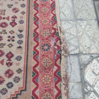 گلیم فرش وپادری|فرش|تهران, بهاران|دیوار