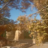 40-هکتار-زمین-و-نه-هزار-متر-باغ-با-آب-کشاورزی