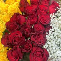 فروش انواع باکس گل و دسته گل ،تاج گل ،دسته گل عروس|گل و گیاه طبیعی|تهران, دزاشیب|دیوار