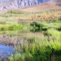 فروش-خانه-باغ