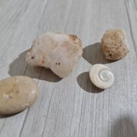 سنگ فسیل جواهرات کلکسیونی شهاب سنگ|جواهرات|تهران, باغ فیض|دیوار