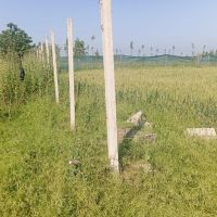 زمین-کشاورزی-موقعیت-دار