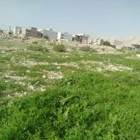 زمین-مسکونی