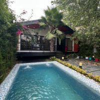 فلت-مدرن-باغی-شمـال-265-متری-لوکیشن-قوی