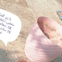 گلدان های پلاستیکی و سرامیکی نو و دست دوم|گل و گیاه طبیعی|تهران, آبشار|دیوار