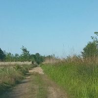 زمین-پشت-بیمارستان-خزر15