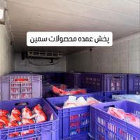پخش مرغ عمده سمین(تازه ،منجمد)|عمده‌فروشی|تهران, خلیج فارس|دیوار