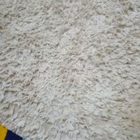 فرش ۴ متری|فرش|تهران, هروی|دیوار