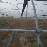 فروش-گلخانه