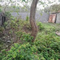 فروش-زمین-198م-مسکونی-سند-تک-برگ