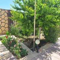 باغ-دنج-وبا-درختان-بار-ده