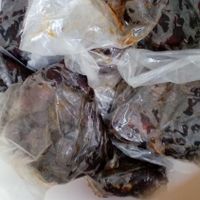 خرمای کبکاب|خوردنی و آشامیدنی|بوشهر, |دیوار