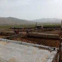 دامداری هزار راسی صنعتی گوسفند داشتی|فروش دفتر صنعتی، کشاورزی، تجاری|تهران, پاتریس لومومبا|دیوار