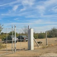 یک-هکتار-باغ