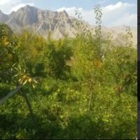 با-یه-تیر-چند-نشان-بزن