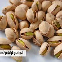 خرید مستقیم نهال از تولیدکننده، بدون واسطه|خدمات باغبانی و درختکاری|ارجمند, |دیوار