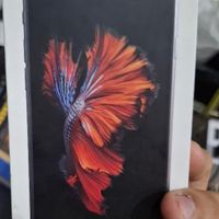 اپل iPhone 6s ۱۶ گیگابایت|موبایل|تهران, فلاح|دیوار