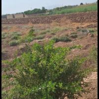 1400-متر-زمین-با-سند-تگ-برگ