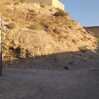 زمین