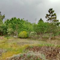 1100-متر-باغ-دور-دیوار-سر-2-نبش-جاده-بازمرگان