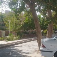 85متری-طبقه-همکف-تک-خواب