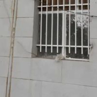 اجازه-خانه-دربستی