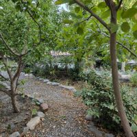 فروش-باغچه-جمع-و-جور-و-پر-گل-و-گیاه