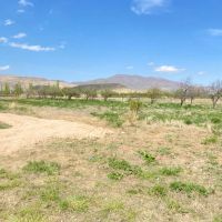 زمین-باغ-روستای-رند