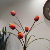 گلدان وگل لاله|گل مصنوعی|تهران, نظام‌آباد|دیوار