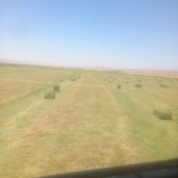 یونجه-وپرس-کاه-حمل-خرید-فروش