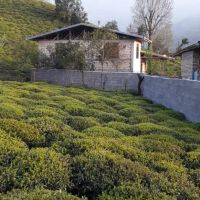 ویلا-و-خانه-در-محمد-املاک-شمال