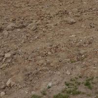 زمین-کشاورزی-قهجاورستان