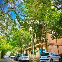 فروش-زمین