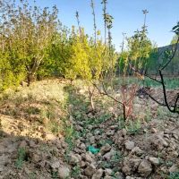 چهاردیواری-850-متر-سند-تک-برگ-باغستان-دهشاد-شهریار