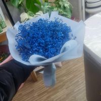 گل بامبو طبیعی|گل و گیاه طبیعی|کرج, عظیمیه|دیوار