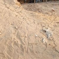 زمین-منطقه-کارگر-فاز-3