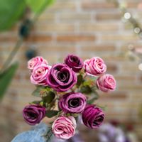 رز هلندی بوته ای ۱۰گل|گل مصنوعی|تهران, امامزاده حسن(ع)|دیوار