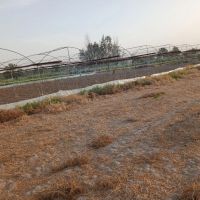 گلخانه-فروشی