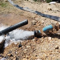 اجازه-زمین-کشاورزی-مرغوب-جهت-صرفا-هویج