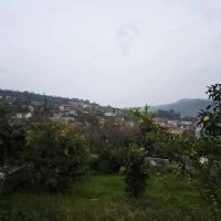 فروش-زمینی-داخل-بافت-مسکونی-در-سوادکوه-شیرگاه