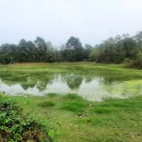 220متر-زمین-تمام-مسکونی-روستای-ذاکله-بر-چهلستون