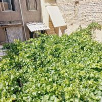 خونه-55-متری-راه-مشترک