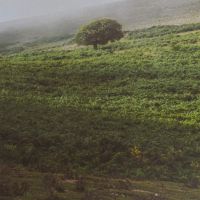 زمین-ویلاشهر-و-کوی-مندلی