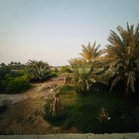 زمین