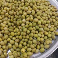 پخش انواع زیتون و روغن زیتون|عمده‌فروشی|رودبار, |دیوار