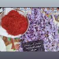 زعفران اصل نگین مشهد|خوردنی و آشامیدنی|تهران, آذری|دیوار