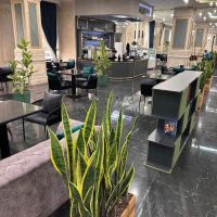 119متر-اعیان-نشینی-تنها-ترین-برج-باغ-مشیریه