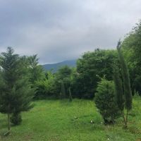 هزار-متر-زمین-باغی-2تومن